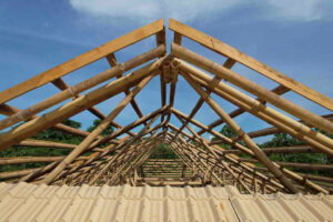 Bamboo pushed as alternative building technology in PHL